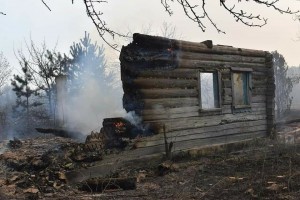 Житомирська ОДА відбудує знищені вогнем будинки