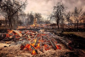 Пожежі на Житомирщині: постраждалі отримають по 300 тисяч грн. на нове житло