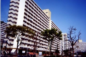 Як будівництво соціального житла в Японії сформувало середній клас і змінило традиційну родину? (ФОТО)