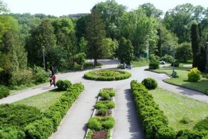 У столиці облаштують більше 134 гектарів зелених зон для відпочинку та прогулянок (АДРЕСИ)