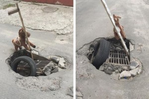 Щоб не зламали колеса та ноги: у Києві діру каналізації прикрашає дитяча конячка