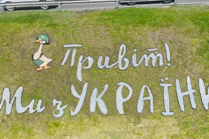 Войовничі птахи: у Києві зробили квіткове пано на честь гусей, що збили ворожий літак