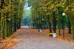 Унеможливить забудову: Київ виділив 9 гектарів землі для створення парків і скверів