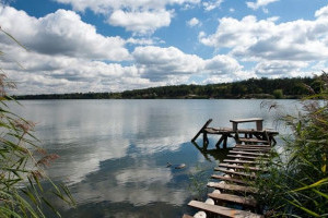 «Озеро Алмазне» у Деснянському районі столиці оголошено ландшафтним заказником місцевого значення