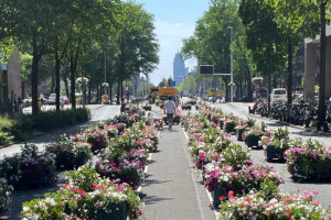 Амстердам перекрив головну вулицю міста для проїзду автотранспорту заради екологічного експерименту