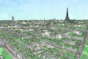 В Парижі пропонують озеленити дахи будівель, аби запобігти перегріву міста