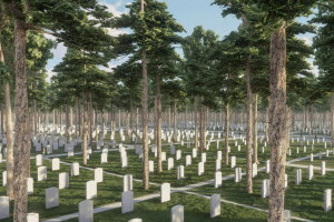 Проєкт Національного військового кладовища у Гатному пройшов державну експертизу