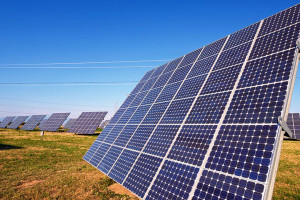 Поля, на яких встановлені сонячні панелі, могли б годувати 4,3 млн людей  
