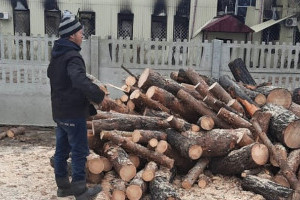 Штраф і ув'язнення за зберігання дров та чагарників: що відомо про законопроєкт 9665