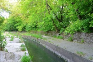 На березі річки Либідь у Києві хочуть створити ландшафтний парк