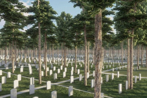 Будівництво військового меморіального кладовища: укладено договір з підрядником другої черги