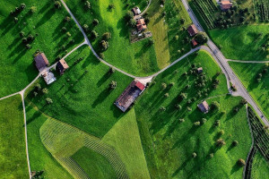 З 1-3 років до 1,5 місяців: в Україні запрацювала спрощена пороцедура зміни цільового призначення земель
