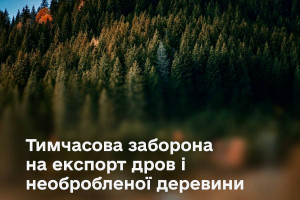 Експорт необробленої деревини призупинено: уряд реагує на дефіцит сировини