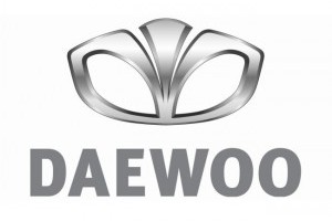 Daewoo построит завод-электростанцию в Запорожской области