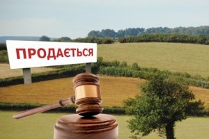 В Украине состоялся первый земельный онлайн-аукцион