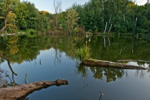 В Киеве появится новый парк отдыха с каскадами озер