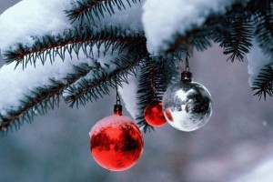 Торжественное открытие новогодних елок в Киеве: список адресов
