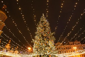 Десять самых ярких новогодних елок Украины (фото)