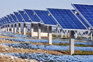 В Украине появится ещё одна солнечная электростанция. На месте птицефабрики