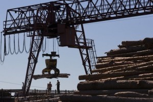 Шведы построят в Украине деревообрабатывающий завод