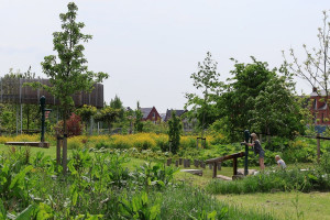 У Нідерландах створено «їстівний район» (ФОТО)