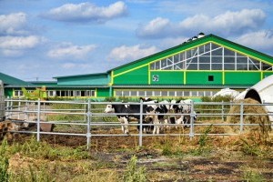 Украинцам возместят часть стоимости строительства животноводческих ферм