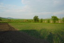 Участникам АТО в Черкасской области зарезервировали около 1 500 га земли