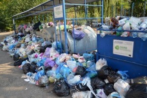 Киевлян штрафуют за неубранный мусор