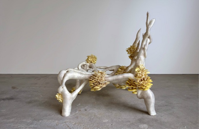 3D - печать, мебель, Эрик Кларенбик, живой стул