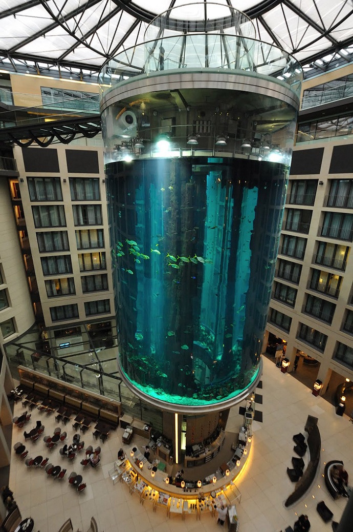 Radisson Blu, аквариум, Aqua Dom