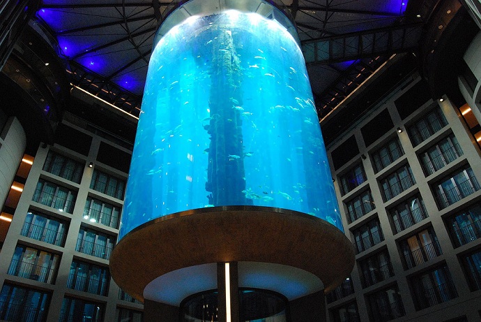 Radisson Blu, аквариум, Aqua Dom