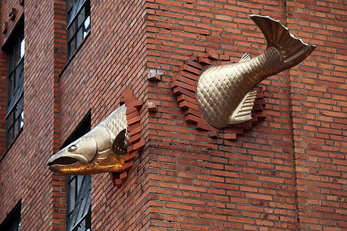 Золотой лосось в штате Орегон (США)