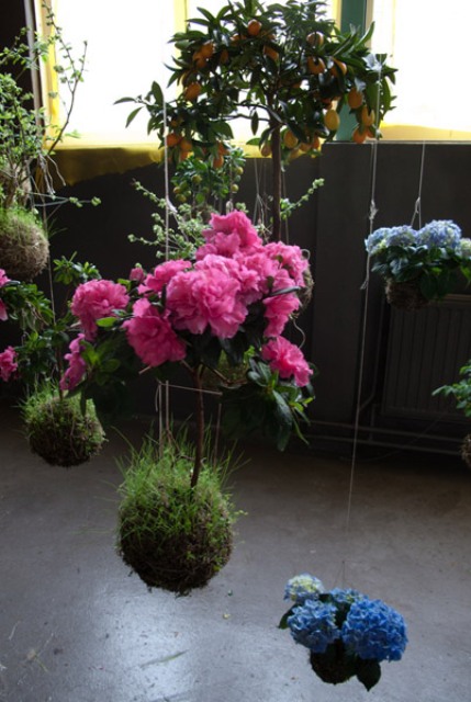 Струнные сады, Федор ван дер Фальк, цветы парящие в воздухе, подвесные сады, дизайнер, цветы и деревья