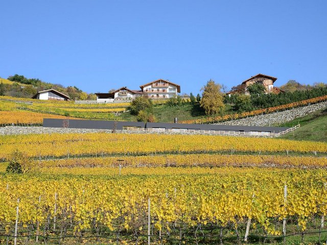 Вилла, Villa P, дом, особняк, резиденция, виноградники, Больцано, Италия