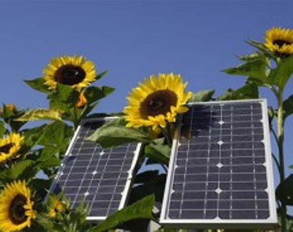 Солнечная энергетика ежегодно будет увеличиваться в несколько раз