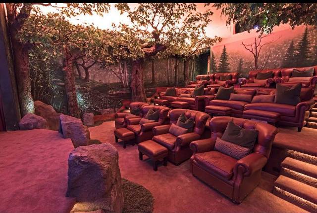 Домашний кинотеатр в сказочном лесу